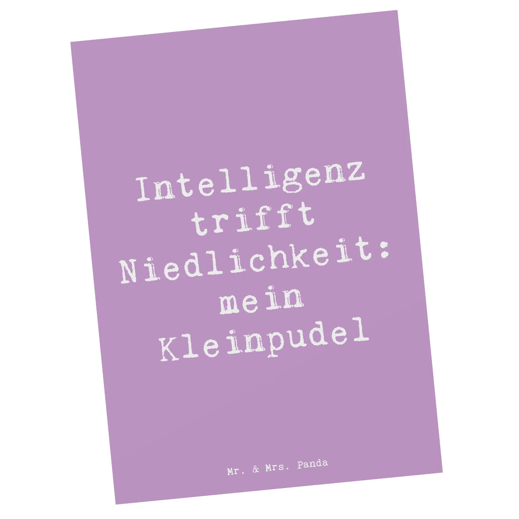 Postkarte Spruch Niedlicher Kleinpudel Postkarte, Karte, Geschenkkarte, Grußkarte, Einladung, Ansichtskarte, Geburtstagskarte, Einladungskarte, Dankeskarte, Ansichtskarten, Einladung Geburtstag, Einladungskarten Geburtstag, Hund, Hunderasse, Rassehund, Hundebesitzer, Geschenk, Tierfreund, Schenken, Welpe