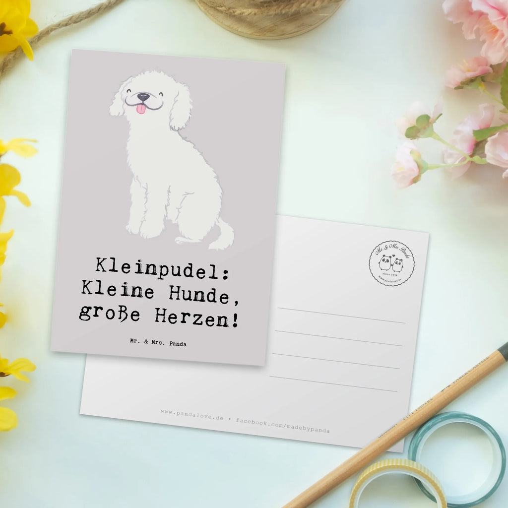 Postkarte Kleinpudel Liebe Postkarte, Karte, Geschenkkarte, Grußkarte, Einladung, Ansichtskarte, Geburtstagskarte, Einladungskarte, Dankeskarte, Ansichtskarten, Einladung Geburtstag, Einladungskarten Geburtstag, Hund, Hunderasse, Rassehund, Hundebesitzer, Geschenk, Tierfreund, Schenken, Welpe