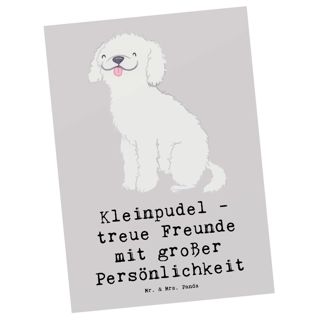 Postkarte Kleinpudel Freunde Postkarte, Karte, Geschenkkarte, Grußkarte, Einladung, Ansichtskarte, Geburtstagskarte, Einladungskarte, Dankeskarte, Ansichtskarten, Einladung Geburtstag, Einladungskarten Geburtstag, Hund, Hunderasse, Rassehund, Hundebesitzer, Geschenk, Tierfreund, Schenken, Welpe