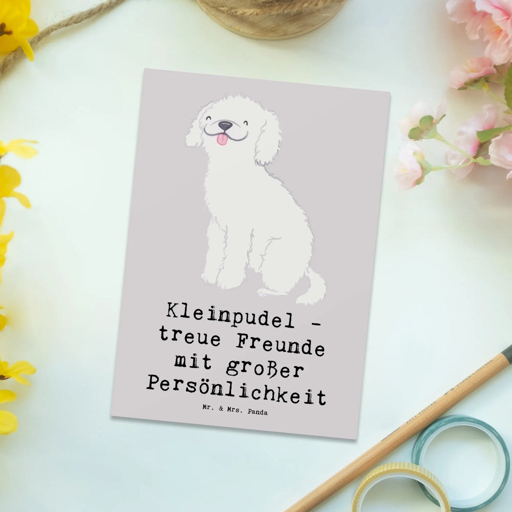 Postkarte Kleinpudel Freunde Postkarte, Karte, Geschenkkarte, Grußkarte, Einladung, Ansichtskarte, Geburtstagskarte, Einladungskarte, Dankeskarte, Ansichtskarten, Einladung Geburtstag, Einladungskarten Geburtstag, Hund, Hunderasse, Rassehund, Hundebesitzer, Geschenk, Tierfreund, Schenken, Welpe