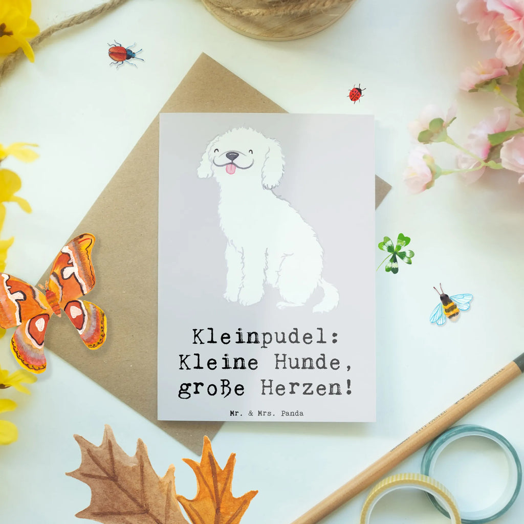 Grußkarte Kleinpudel Liebe Grußkarte, Klappkarte, Einladungskarte, Glückwunschkarte, Hochzeitskarte, Geburtstagskarte, Karte, Ansichtskarten, Hund, Hunderasse, Rassehund, Hundebesitzer, Geschenk, Tierfreund, Schenken, Welpe