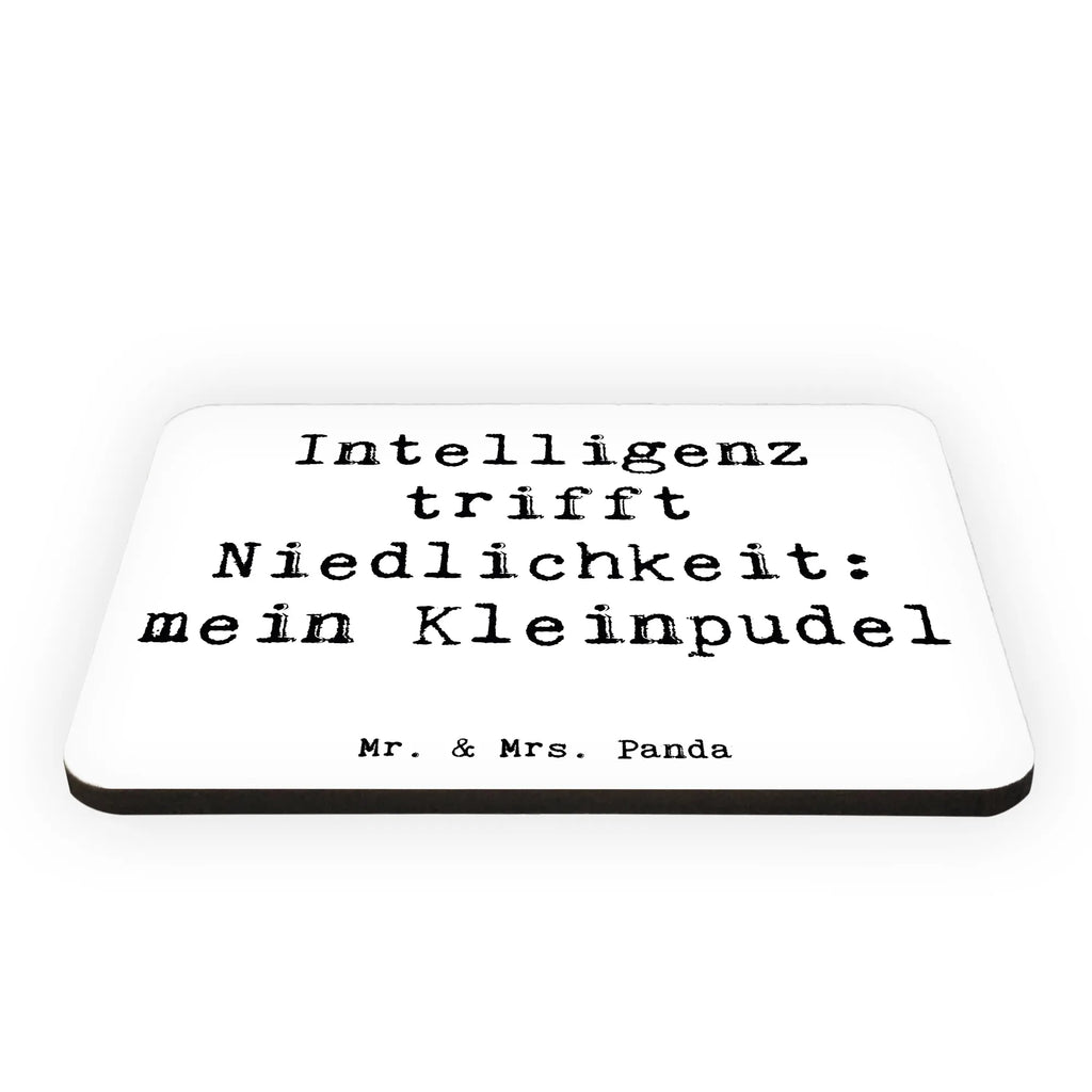 Magnet Spruch Niedlicher Kleinpudel Kühlschrankmagnet, Pinnwandmagnet, Souvenir Magnet, Motivmagnete, Dekomagnet, Whiteboard Magnet, Notiz Magnet, Kühlschrank Dekoration, Hund, Hunderasse, Rassehund, Hundebesitzer, Geschenk, Tierfreund, Schenken, Welpe