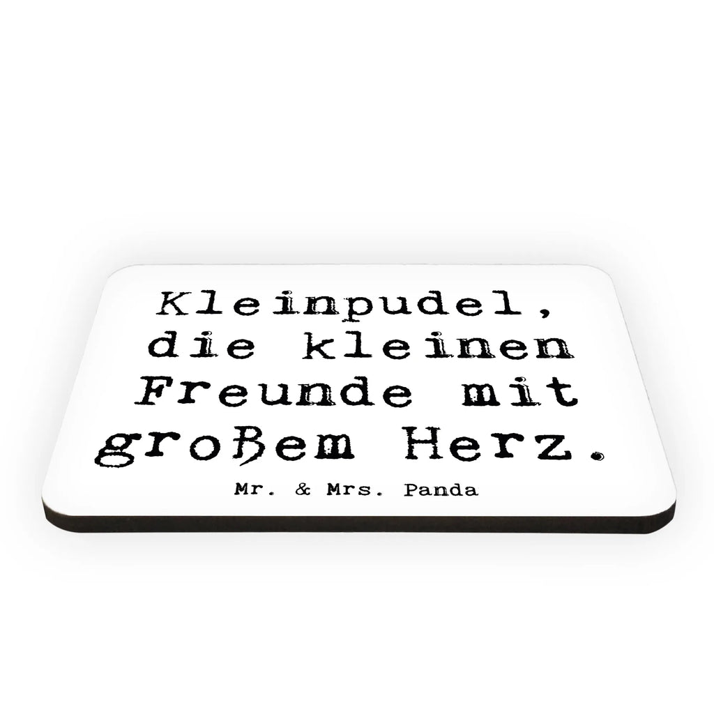 Magnet Spruch Kleinpudel Liebe Kühlschrankmagnet, Pinnwandmagnet, Souvenir Magnet, Motivmagnete, Dekomagnet, Whiteboard Magnet, Notiz Magnet, Kühlschrank Dekoration, Hund, Hunderasse, Rassehund, Hundebesitzer, Geschenk, Tierfreund, Schenken, Welpe