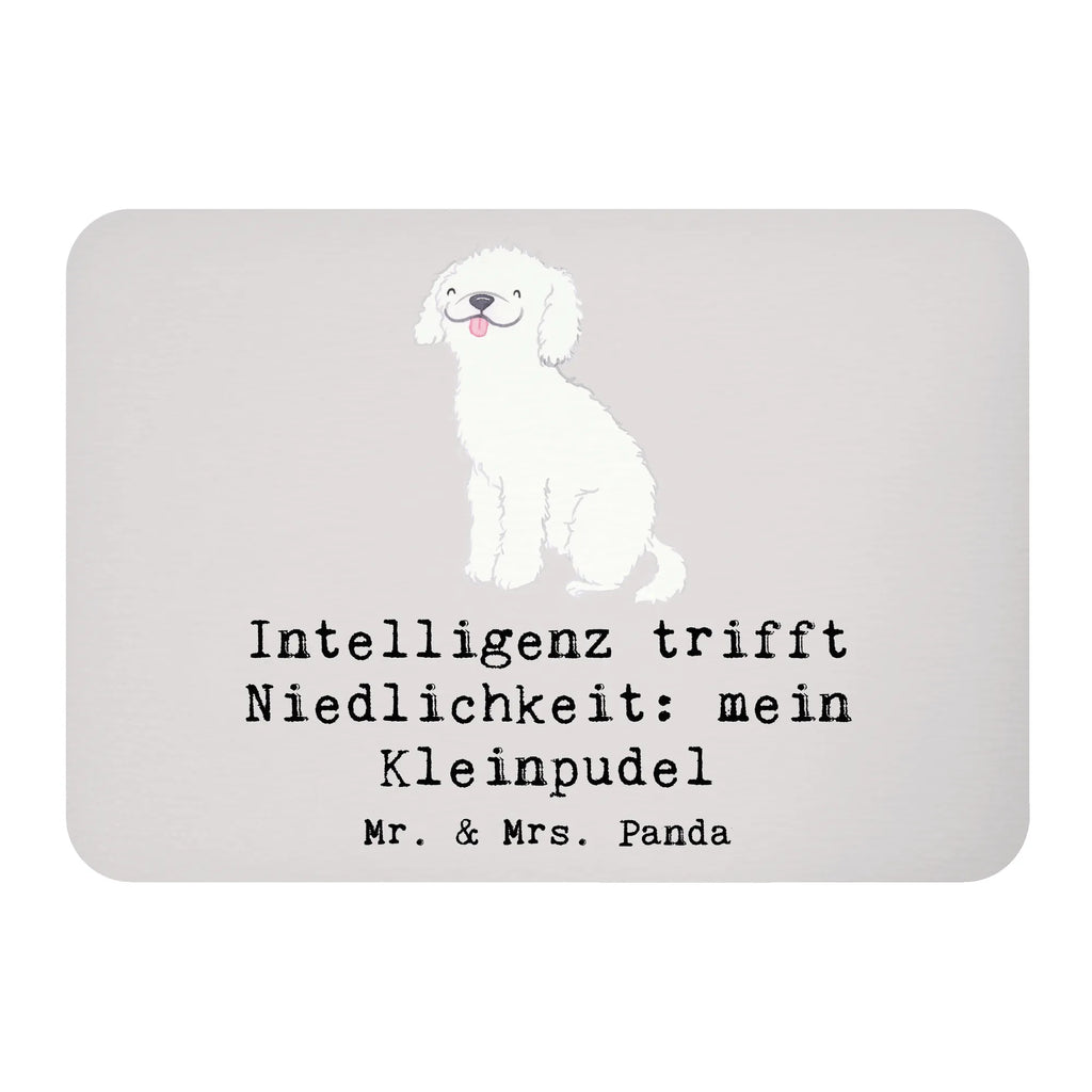 Magnet Niedlicher Kleinpudel Kühlschrankmagnet, Pinnwandmagnet, Souvenir Magnet, Motivmagnete, Dekomagnet, Whiteboard Magnet, Notiz Magnet, Kühlschrank Dekoration, Hund, Hunderasse, Rassehund, Hundebesitzer, Geschenk, Tierfreund, Schenken, Welpe