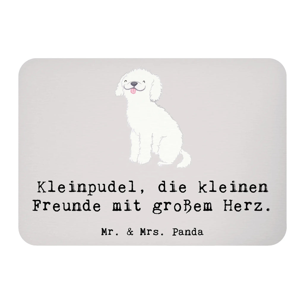 Magnet Kleinpudel Liebe Kühlschrankmagnet, Pinnwandmagnet, Souvenir Magnet, Motivmagnete, Dekomagnet, Whiteboard Magnet, Notiz Magnet, Kühlschrank Dekoration, Hund, Hunderasse, Rassehund, Hundebesitzer, Geschenk, Tierfreund, Schenken, Welpe