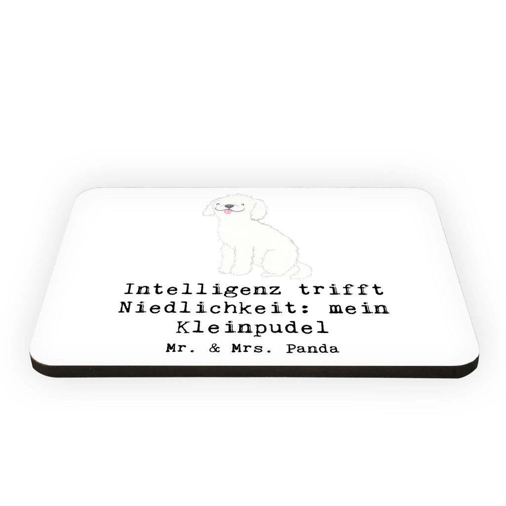 Magnet Niedlicher Kleinpudel Kühlschrankmagnet, Pinnwandmagnet, Souvenir Magnet, Motivmagnete, Dekomagnet, Whiteboard Magnet, Notiz Magnet, Kühlschrank Dekoration, Hund, Hunderasse, Rassehund, Hundebesitzer, Geschenk, Tierfreund, Schenken, Welpe