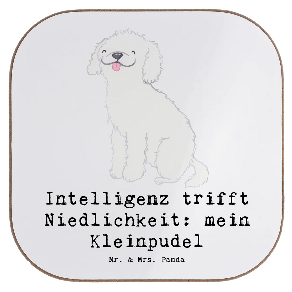 Untersetzer Niedlicher Kleinpudel Untersetzer, Bierdeckel, Glasuntersetzer, Untersetzer Gläser, Getränkeuntersetzer, Untersetzer aus Holz, Untersetzer für Gläser, Korkuntersetzer, Untersetzer Holz, Holzuntersetzer, Tassen Untersetzer, Untersetzer Design, Hund, Hunderasse, Rassehund, Hundebesitzer, Geschenk, Tierfreund, Schenken, Welpe