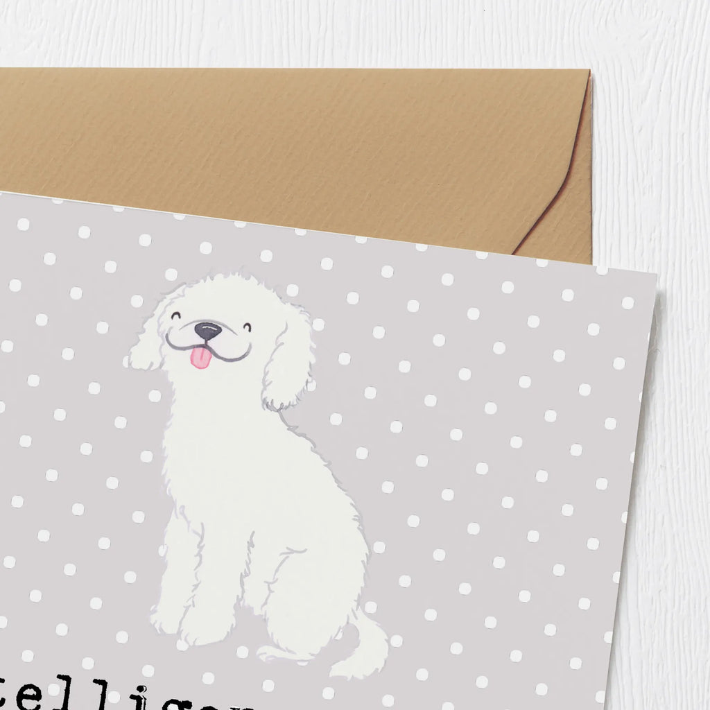 Deluxe Karte Niedlicher Kleinpudel Karte, Grußkarte, Klappkarte, Einladungskarte, Glückwunschkarte, Hochzeitskarte, Geburtstagskarte, Hochwertige Grußkarte, Hochwertige Klappkarte, Hund, Hunderasse, Rassehund, Hundebesitzer, Geschenk, Tierfreund, Schenken, Welpe