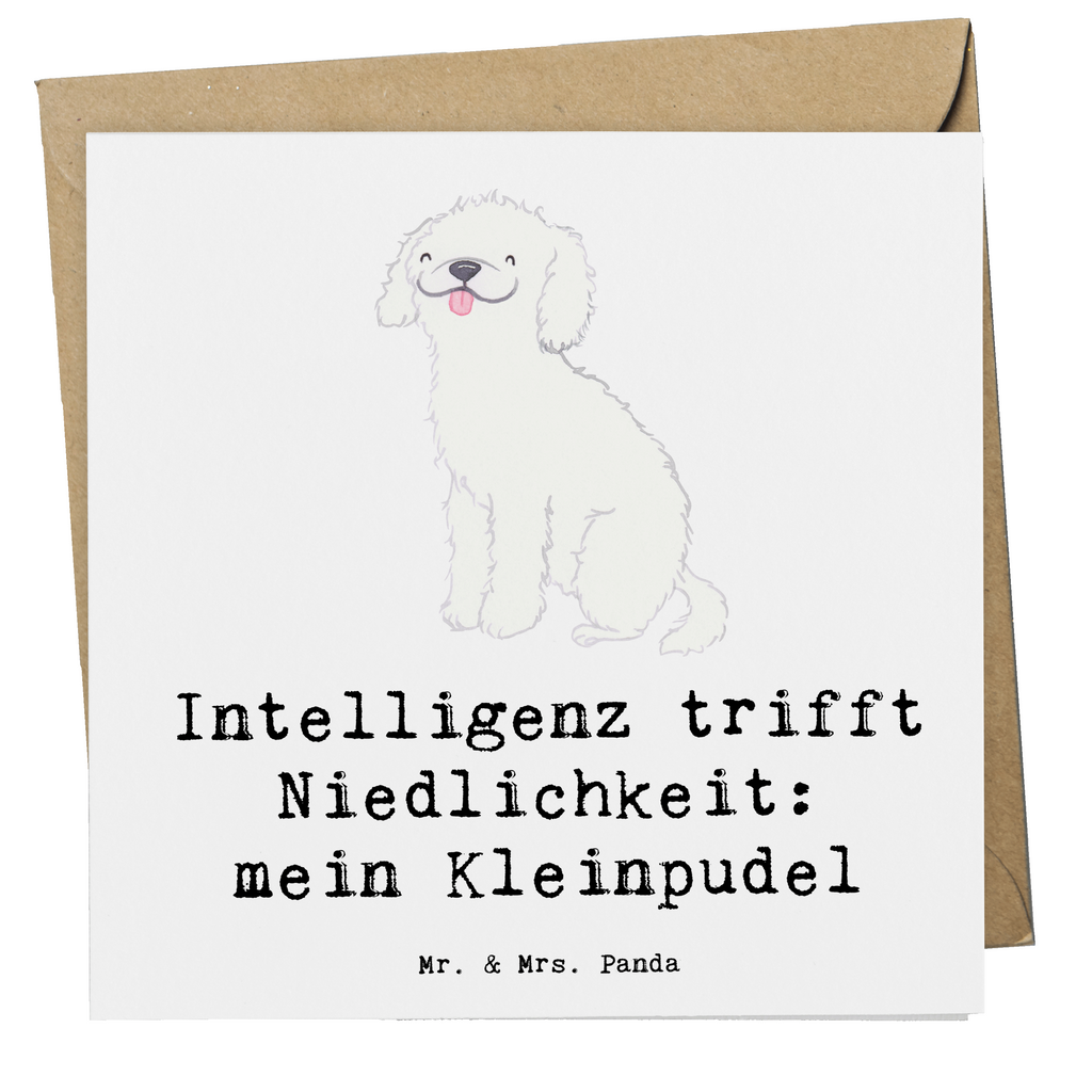 Deluxe Karte Niedlicher Kleinpudel Karte, Grußkarte, Klappkarte, Einladungskarte, Glückwunschkarte, Hochzeitskarte, Geburtstagskarte, Hochwertige Grußkarte, Hochwertige Klappkarte, Hund, Hunderasse, Rassehund, Hundebesitzer, Geschenk, Tierfreund, Schenken, Welpe