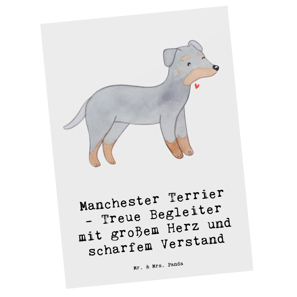 Postkarte Manchester Terrier Begleiter Postkarte, Karte, Geschenkkarte, Grußkarte, Einladung, Ansichtskarte, Geburtstagskarte, Einladungskarte, Dankeskarte, Ansichtskarten, Einladung Geburtstag, Einladungskarten Geburtstag, Hund, Hunderasse, Rassehund, Hundebesitzer, Geschenk, Tierfreund, Schenken, Welpe