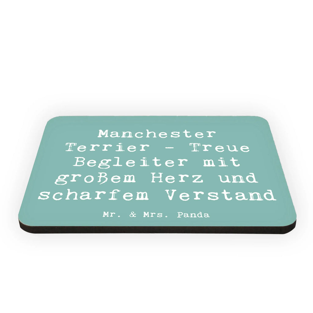 Magnet Spruch Manchester Terrier Begleiter Kühlschrankmagnet, Pinnwandmagnet, Souvenir Magnet, Motivmagnete, Dekomagnet, Whiteboard Magnet, Notiz Magnet, Kühlschrank Dekoration, Hund, Hunderasse, Rassehund, Hundebesitzer, Geschenk, Tierfreund, Schenken, Welpe