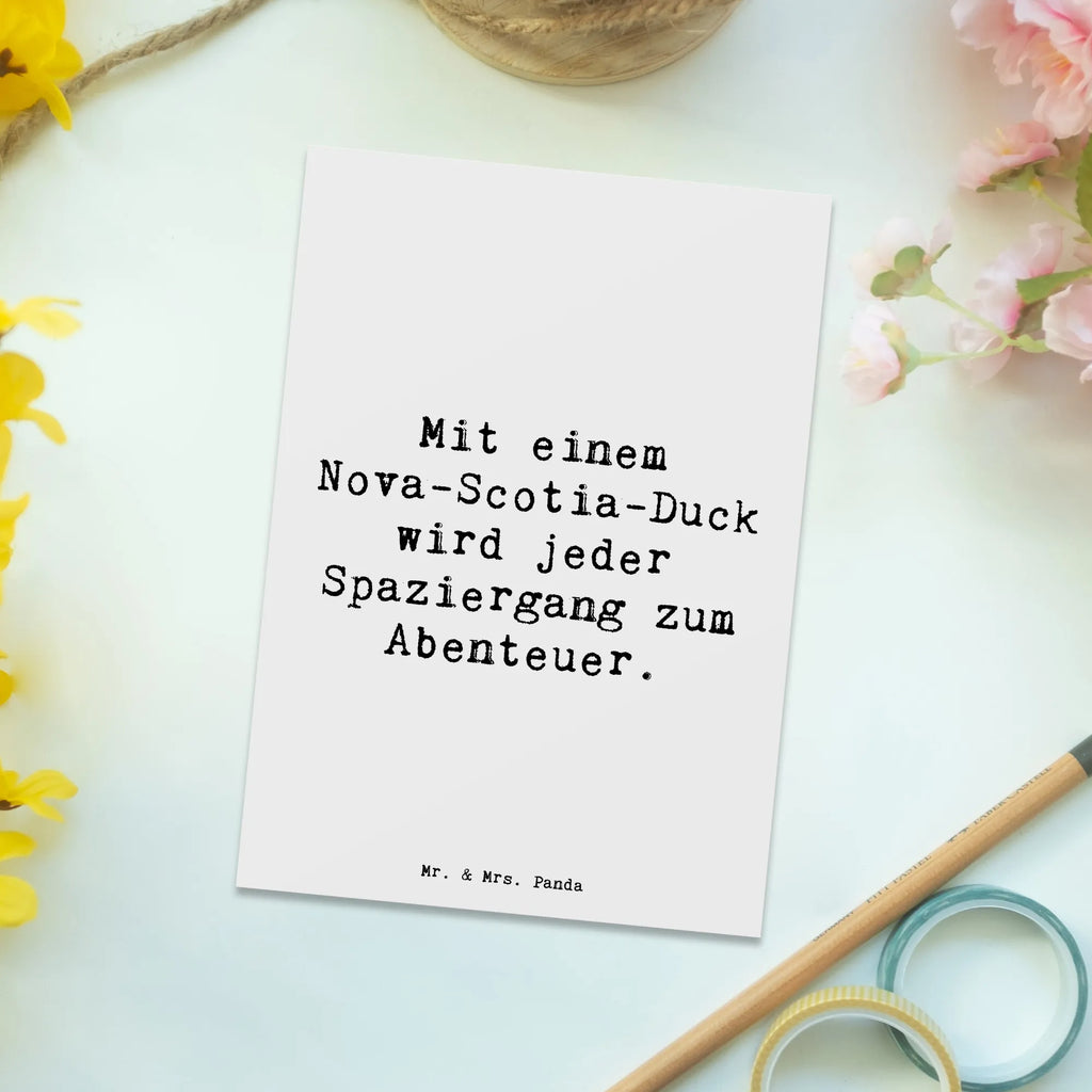 Postkarte Spruch Nova Scotia Duck Abenteuer Postkarte, Karte, Geschenkkarte, Grußkarte, Einladung, Ansichtskarte, Geburtstagskarte, Einladungskarte, Dankeskarte, Ansichtskarten, Einladung Geburtstag, Einladungskarten Geburtstag, Hund, Hunderasse, Rassehund, Hundebesitzer, Geschenk, Tierfreund, Schenken, Welpe