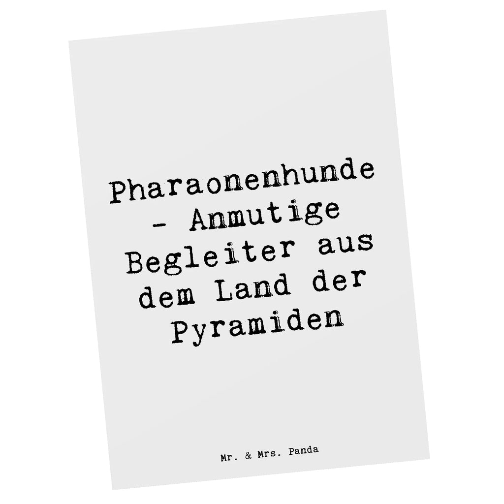 Postkarte Spruch Pharaonenhund Freunde Postkarte, Karte, Geschenkkarte, Grußkarte, Einladung, Ansichtskarte, Geburtstagskarte, Einladungskarte, Dankeskarte, Ansichtskarten, Einladung Geburtstag, Einladungskarten Geburtstag, Hund, Hunderasse, Rassehund, Hundebesitzer, Geschenk, Tierfreund, Schenken, Welpe