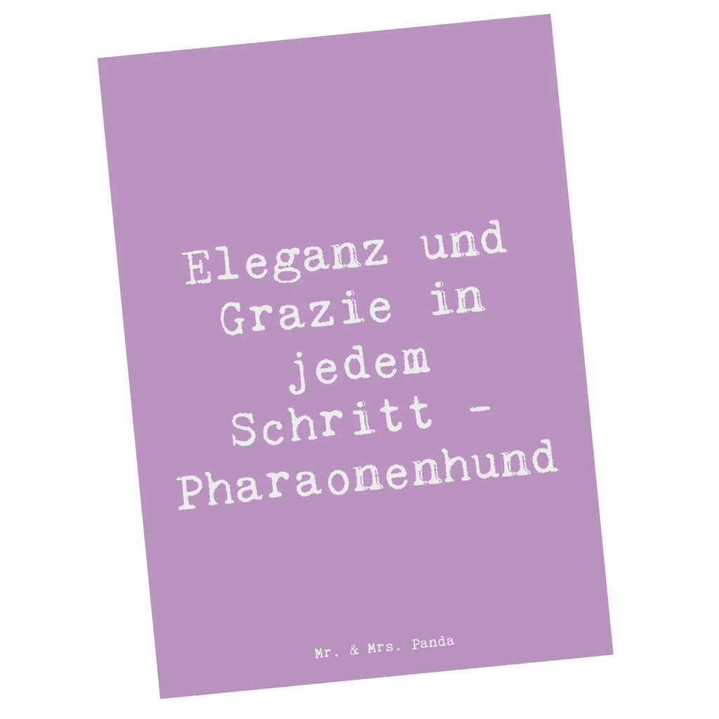 Postkarte Spruch Eleganter Pharaonenhund Postkarte, Karte, Geschenkkarte, Grußkarte, Einladung, Ansichtskarte, Geburtstagskarte, Einladungskarte, Dankeskarte, Ansichtskarten, Einladung Geburtstag, Einladungskarten Geburtstag, Hund, Hunderasse, Rassehund, Hundebesitzer, Geschenk, Tierfreund, Schenken, Welpe