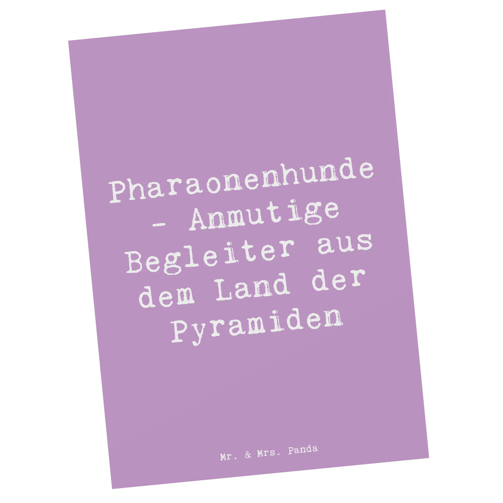 Postkarte Spruch Pharaonenhund Freunde Postkarte, Karte, Geschenkkarte, Grußkarte, Einladung, Ansichtskarte, Geburtstagskarte, Einladungskarte, Dankeskarte, Ansichtskarten, Einladung Geburtstag, Einladungskarten Geburtstag, Hund, Hunderasse, Rassehund, Hundebesitzer, Geschenk, Tierfreund, Schenken, Welpe