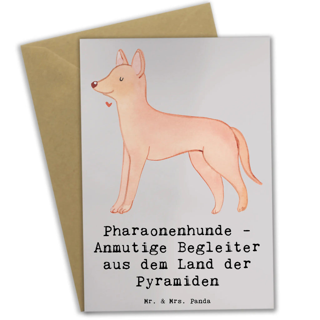 Grußkarte Pharaonenhund Freunde Grußkarte, Klappkarte, Einladungskarte, Glückwunschkarte, Hochzeitskarte, Geburtstagskarte, Karte, Ansichtskarten, Hund, Hunderasse, Rassehund, Hundebesitzer, Geschenk, Tierfreund, Schenken, Welpe