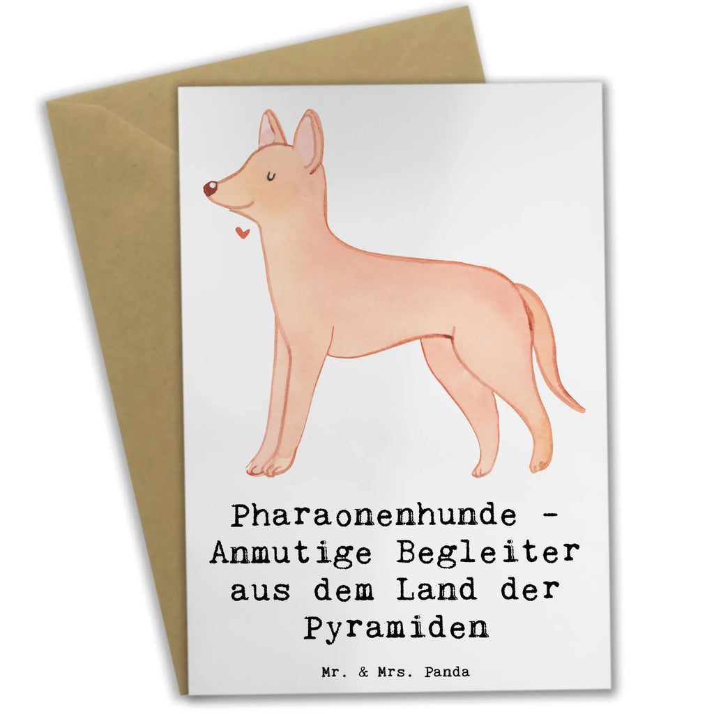 Grußkarte Pharaonenhund Freunde Grußkarte, Klappkarte, Einladungskarte, Glückwunschkarte, Hochzeitskarte, Geburtstagskarte, Karte, Ansichtskarten, Hund, Hunderasse, Rassehund, Hundebesitzer, Geschenk, Tierfreund, Schenken, Welpe