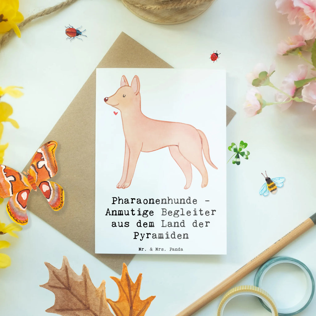 Grußkarte Pharaonenhund Freunde Grußkarte, Klappkarte, Einladungskarte, Glückwunschkarte, Hochzeitskarte, Geburtstagskarte, Karte, Ansichtskarten, Hund, Hunderasse, Rassehund, Hundebesitzer, Geschenk, Tierfreund, Schenken, Welpe