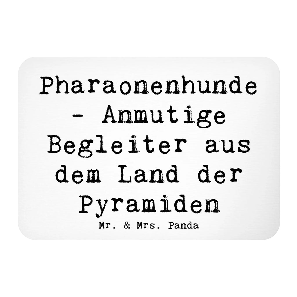 Magnet Spruch Pharaonenhund Freunde Kühlschrankmagnet, Pinnwandmagnet, Souvenir Magnet, Motivmagnete, Dekomagnet, Whiteboard Magnet, Notiz Magnet, Kühlschrank Dekoration, Hund, Hunderasse, Rassehund, Hundebesitzer, Geschenk, Tierfreund, Schenken, Welpe