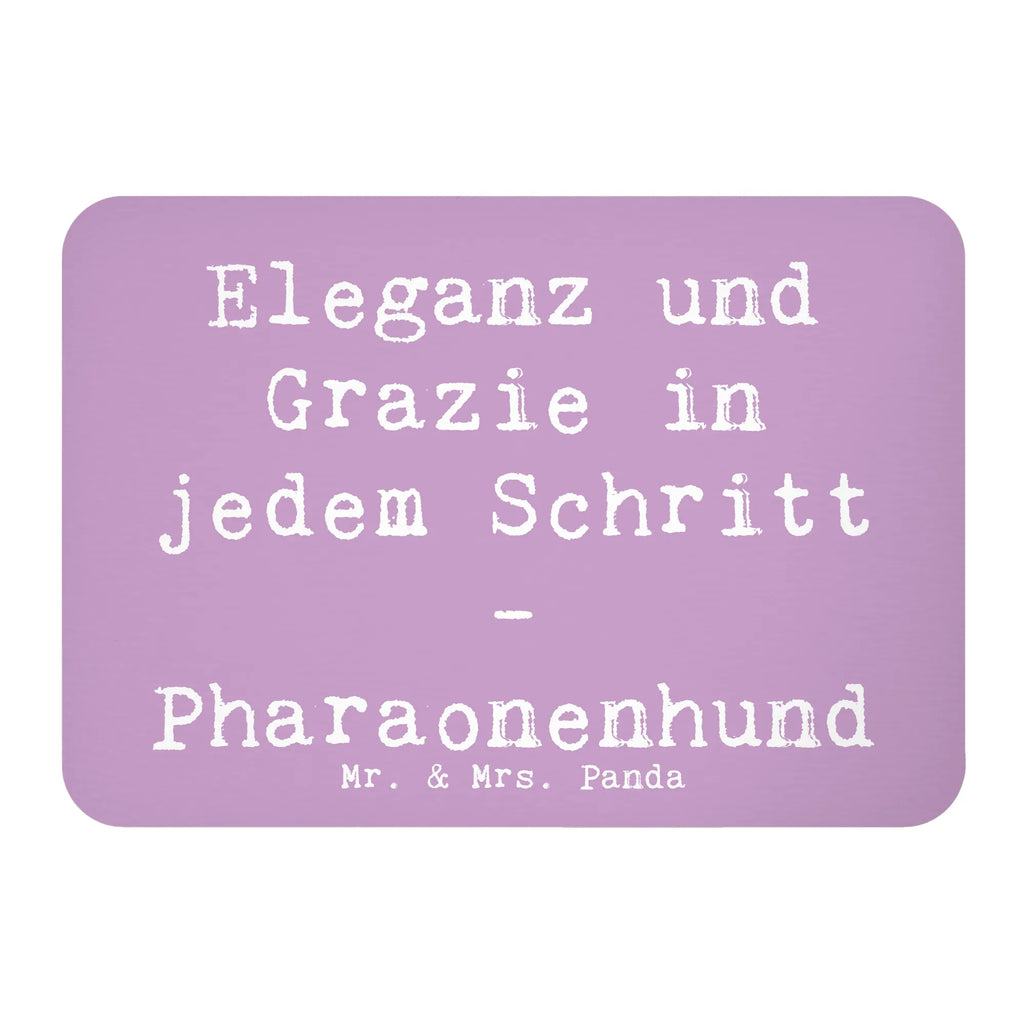 Magnet Spruch Eleganter Pharaonenhund Kühlschrankmagnet, Pinnwandmagnet, Souvenir Magnet, Motivmagnete, Dekomagnet, Whiteboard Magnet, Notiz Magnet, Kühlschrank Dekoration, Hund, Hunderasse, Rassehund, Hundebesitzer, Geschenk, Tierfreund, Schenken, Welpe