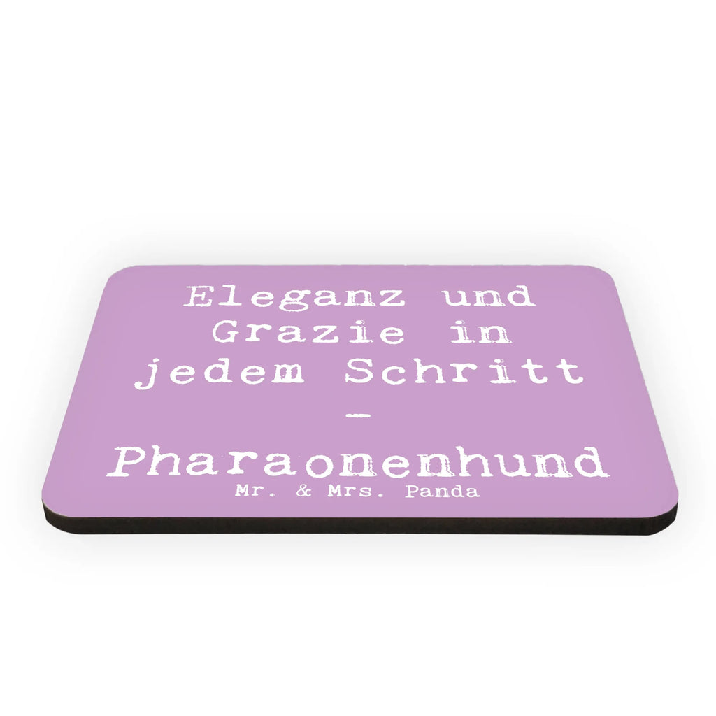 Magnet Spruch Eleganter Pharaonenhund Kühlschrankmagnet, Pinnwandmagnet, Souvenir Magnet, Motivmagnete, Dekomagnet, Whiteboard Magnet, Notiz Magnet, Kühlschrank Dekoration, Hund, Hunderasse, Rassehund, Hundebesitzer, Geschenk, Tierfreund, Schenken, Welpe