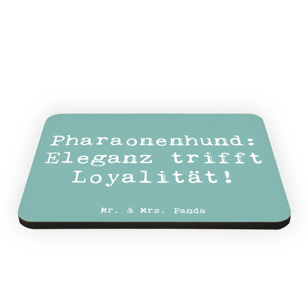 Magnet Spruch Pharaonenhund Eleganz Kühlschrankmagnet, Pinnwandmagnet, Souvenir Magnet, Motivmagnete, Dekomagnet, Whiteboard Magnet, Notiz Magnet, Kühlschrank Dekoration, Hund, Hunderasse, Rassehund, Hundebesitzer, Geschenk, Tierfreund, Schenken, Welpe