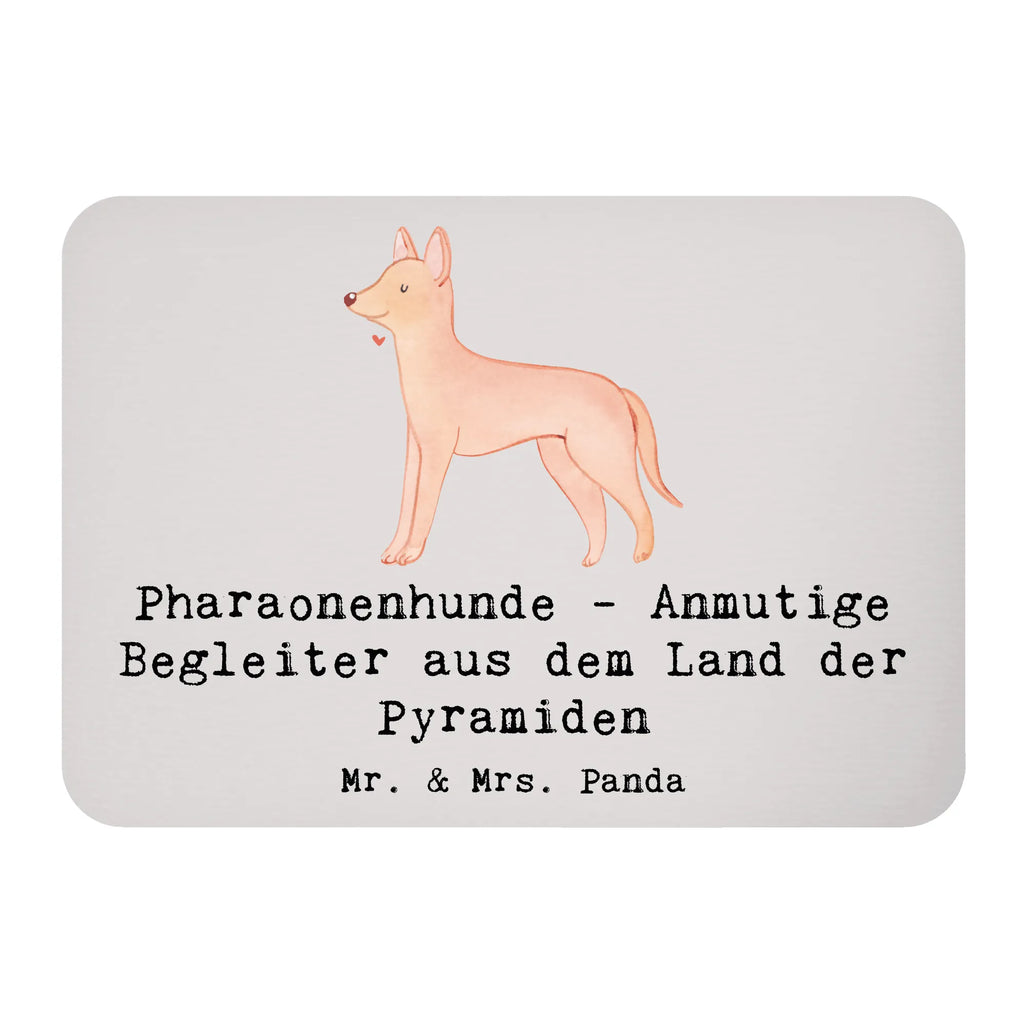 Magnet Pharaonenhund Freunde Kühlschrankmagnet, Pinnwandmagnet, Souvenir Magnet, Motivmagnete, Dekomagnet, Whiteboard Magnet, Notiz Magnet, Kühlschrank Dekoration, Hund, Hunderasse, Rassehund, Hundebesitzer, Geschenk, Tierfreund, Schenken, Welpe