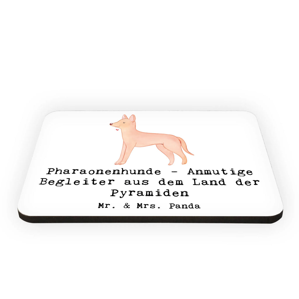 Magnet Pharaonenhund Freunde Kühlschrankmagnet, Pinnwandmagnet, Souvenir Magnet, Motivmagnete, Dekomagnet, Whiteboard Magnet, Notiz Magnet, Kühlschrank Dekoration, Hund, Hunderasse, Rassehund, Hundebesitzer, Geschenk, Tierfreund, Schenken, Welpe