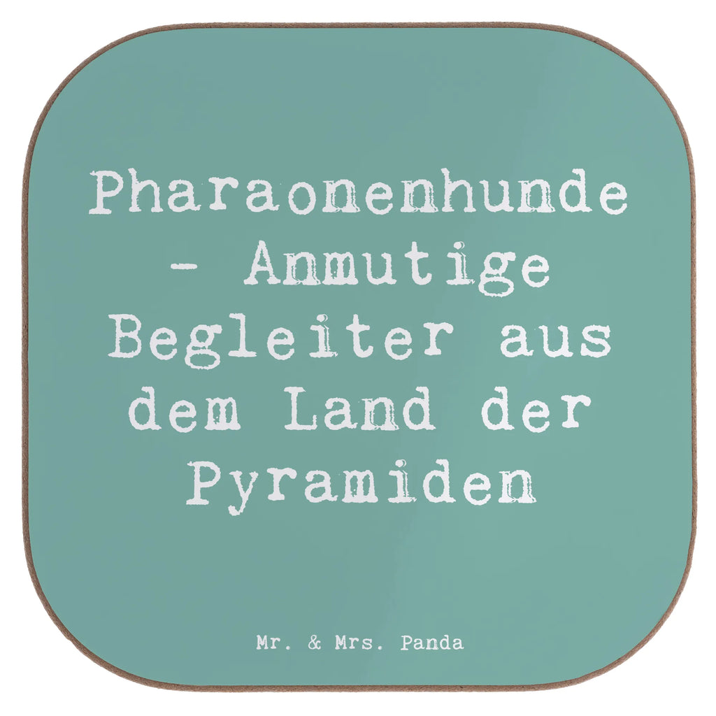 Untersetzer Spruch Pharaonenhund Freunde Untersetzer, Bierdeckel, Glasuntersetzer, Untersetzer Gläser, Getränkeuntersetzer, Untersetzer aus Holz, Untersetzer für Gläser, Korkuntersetzer, Untersetzer Holz, Holzuntersetzer, Tassen Untersetzer, Untersetzer Design, Hund, Hunderasse, Rassehund, Hundebesitzer, Geschenk, Tierfreund, Schenken, Welpe