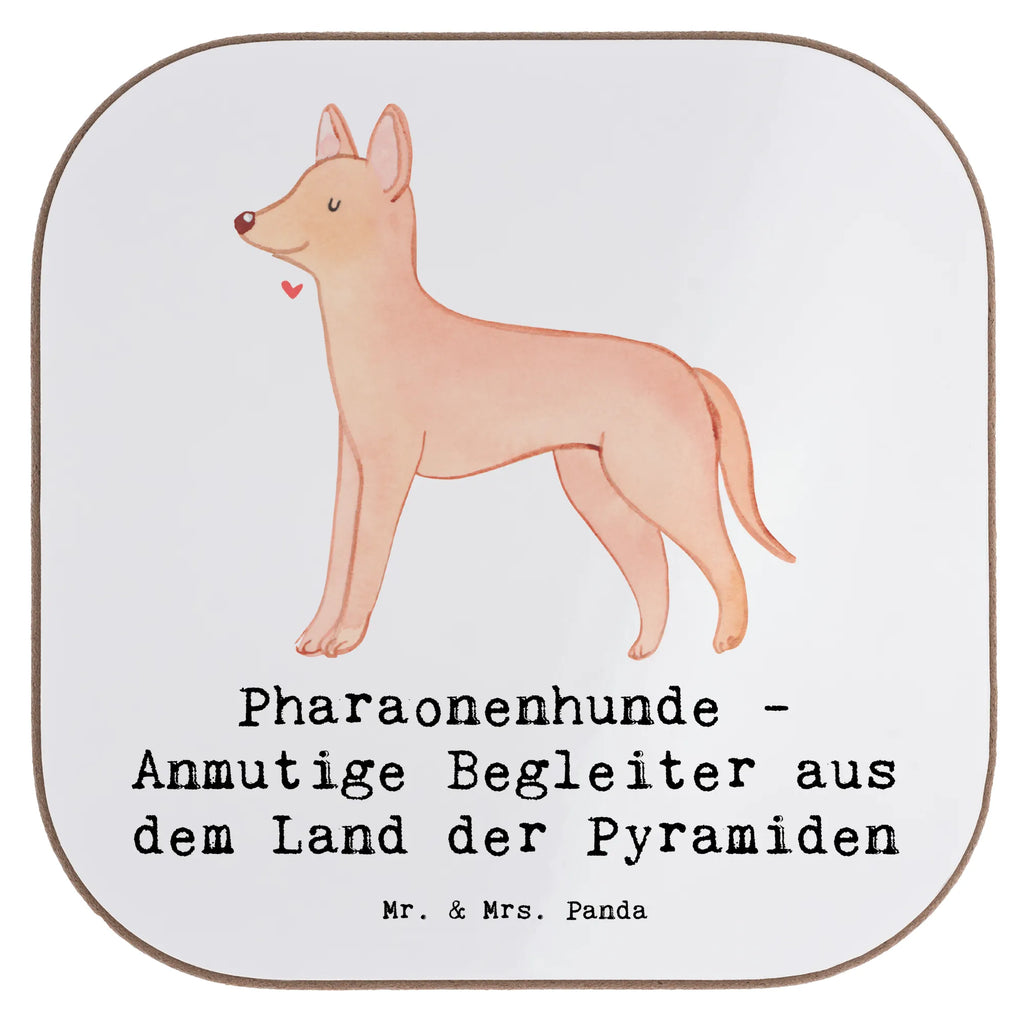 Untersetzer Pharaonenhund Freunde Untersetzer, Bierdeckel, Glasuntersetzer, Untersetzer Gläser, Getränkeuntersetzer, Untersetzer aus Holz, Untersetzer für Gläser, Korkuntersetzer, Untersetzer Holz, Holzuntersetzer, Tassen Untersetzer, Untersetzer Design, Hund, Hunderasse, Rassehund, Hundebesitzer, Geschenk, Tierfreund, Schenken, Welpe