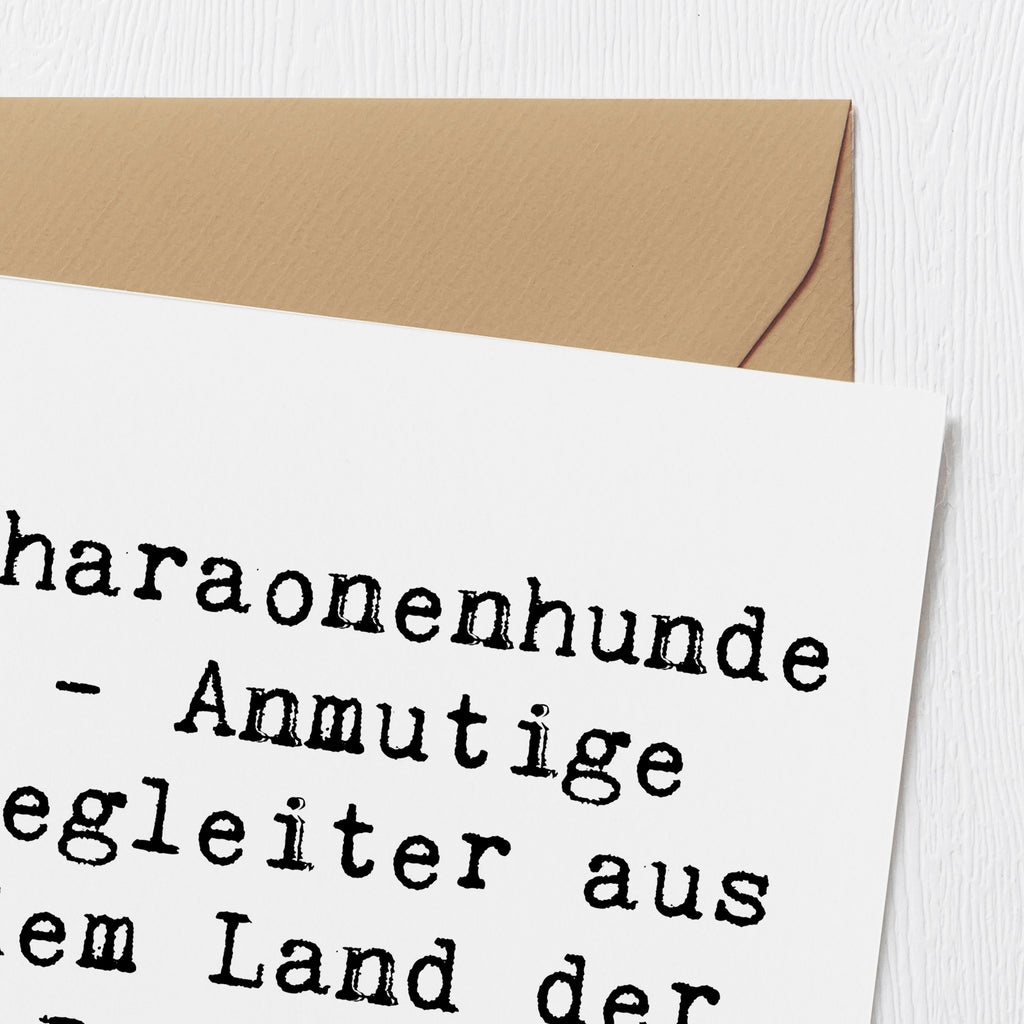 Deluxe Karte Spruch Pharaonenhund Freunde Karte, Grußkarte, Klappkarte, Einladungskarte, Glückwunschkarte, Hochzeitskarte, Geburtstagskarte, Hochwertige Grußkarte, Hochwertige Klappkarte, Hund, Hunderasse, Rassehund, Hundebesitzer, Geschenk, Tierfreund, Schenken, Welpe