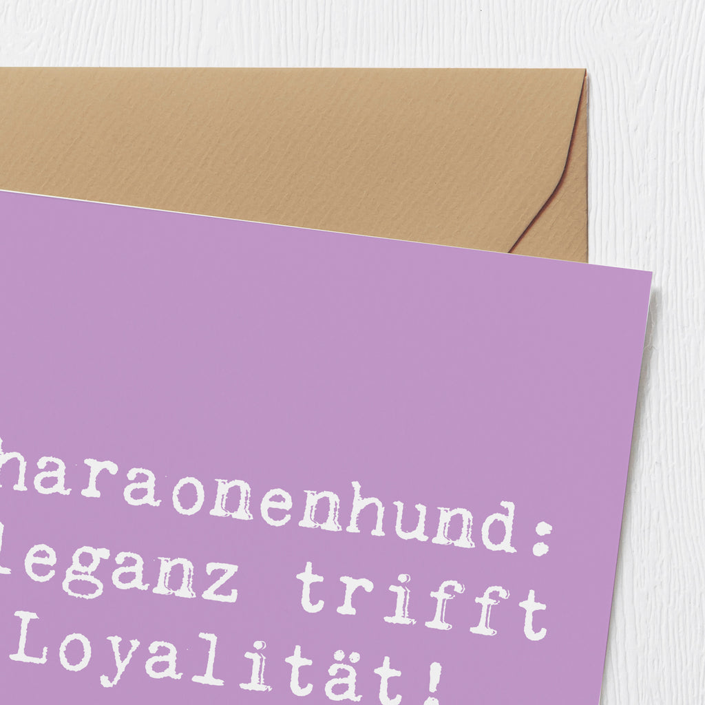 Deluxe Karte Spruch Pharaonenhund Eleganz Karte, Grußkarte, Klappkarte, Einladungskarte, Glückwunschkarte, Hochzeitskarte, Geburtstagskarte, Hochwertige Grußkarte, Hochwertige Klappkarte, Hund, Hunderasse, Rassehund, Hundebesitzer, Geschenk, Tierfreund, Schenken, Welpe