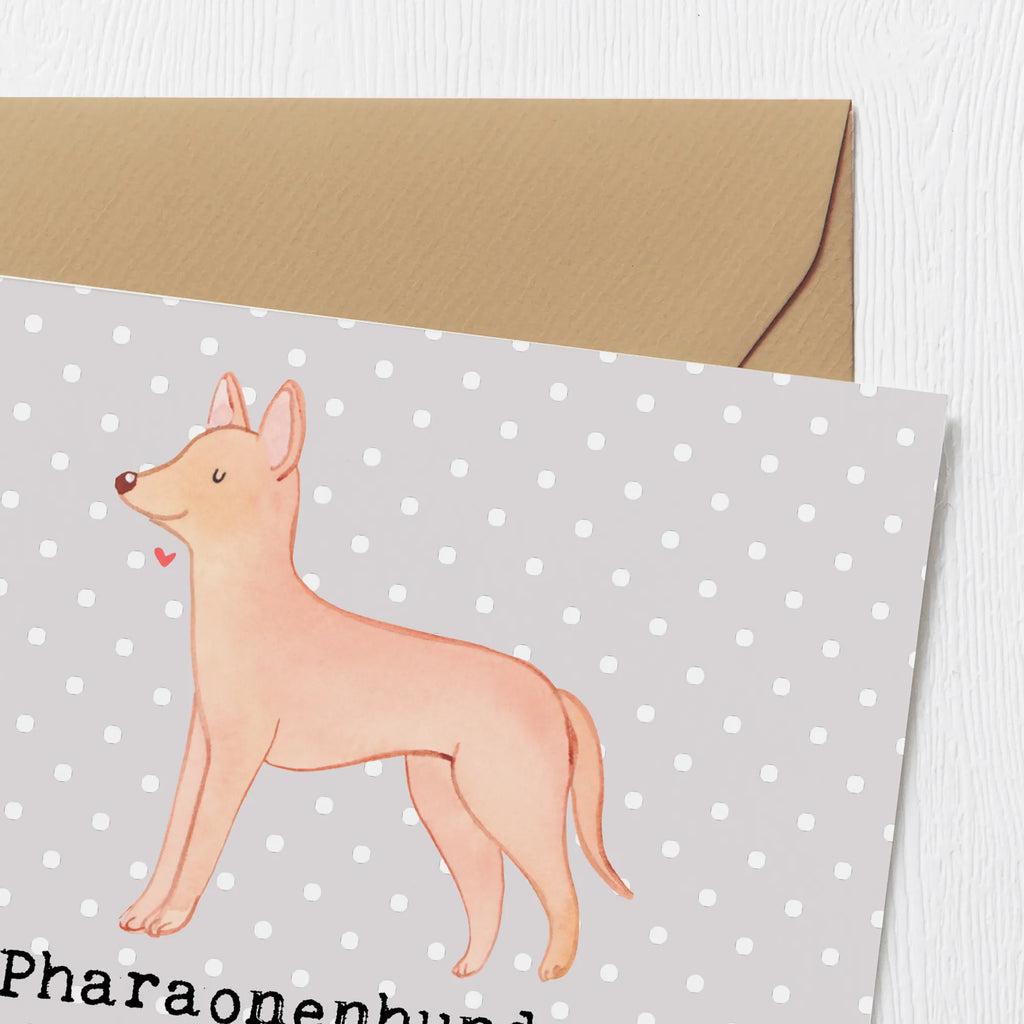 Deluxe Karte Pharaonenhund Freunde Karte, Grußkarte, Klappkarte, Einladungskarte, Glückwunschkarte, Hochzeitskarte, Geburtstagskarte, Hochwertige Grußkarte, Hochwertige Klappkarte, Hund, Hunderasse, Rassehund, Hundebesitzer, Geschenk, Tierfreund, Schenken, Welpe