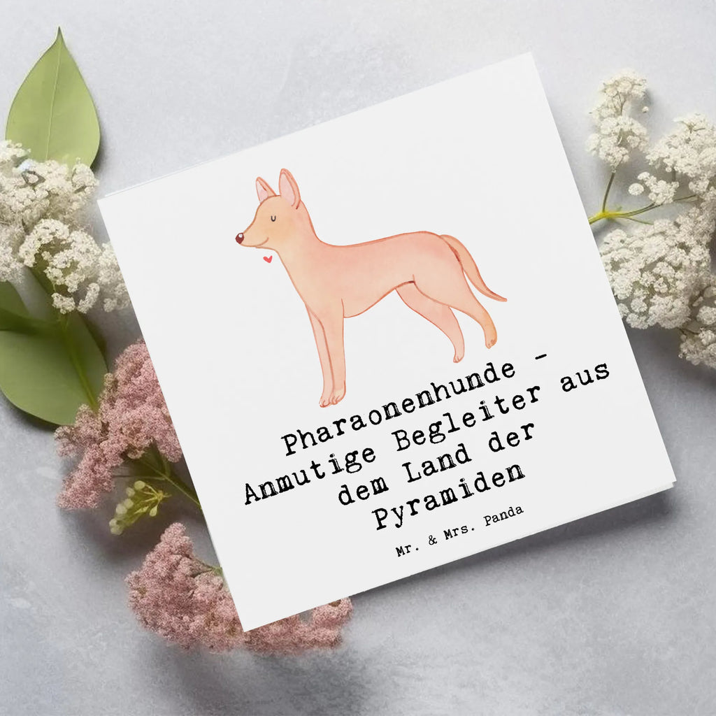 Deluxe Karte Pharaonenhund Freunde Karte, Grußkarte, Klappkarte, Einladungskarte, Glückwunschkarte, Hochzeitskarte, Geburtstagskarte, Hochwertige Grußkarte, Hochwertige Klappkarte, Hund, Hunderasse, Rassehund, Hundebesitzer, Geschenk, Tierfreund, Schenken, Welpe