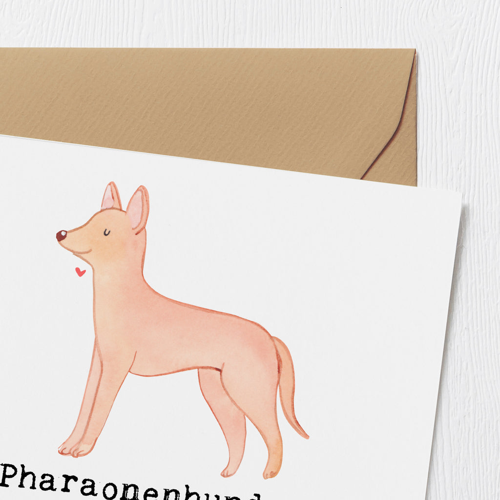 Deluxe Karte Pharaonenhund Freunde Karte, Grußkarte, Klappkarte, Einladungskarte, Glückwunschkarte, Hochzeitskarte, Geburtstagskarte, Hochwertige Grußkarte, Hochwertige Klappkarte, Hund, Hunderasse, Rassehund, Hundebesitzer, Geschenk, Tierfreund, Schenken, Welpe