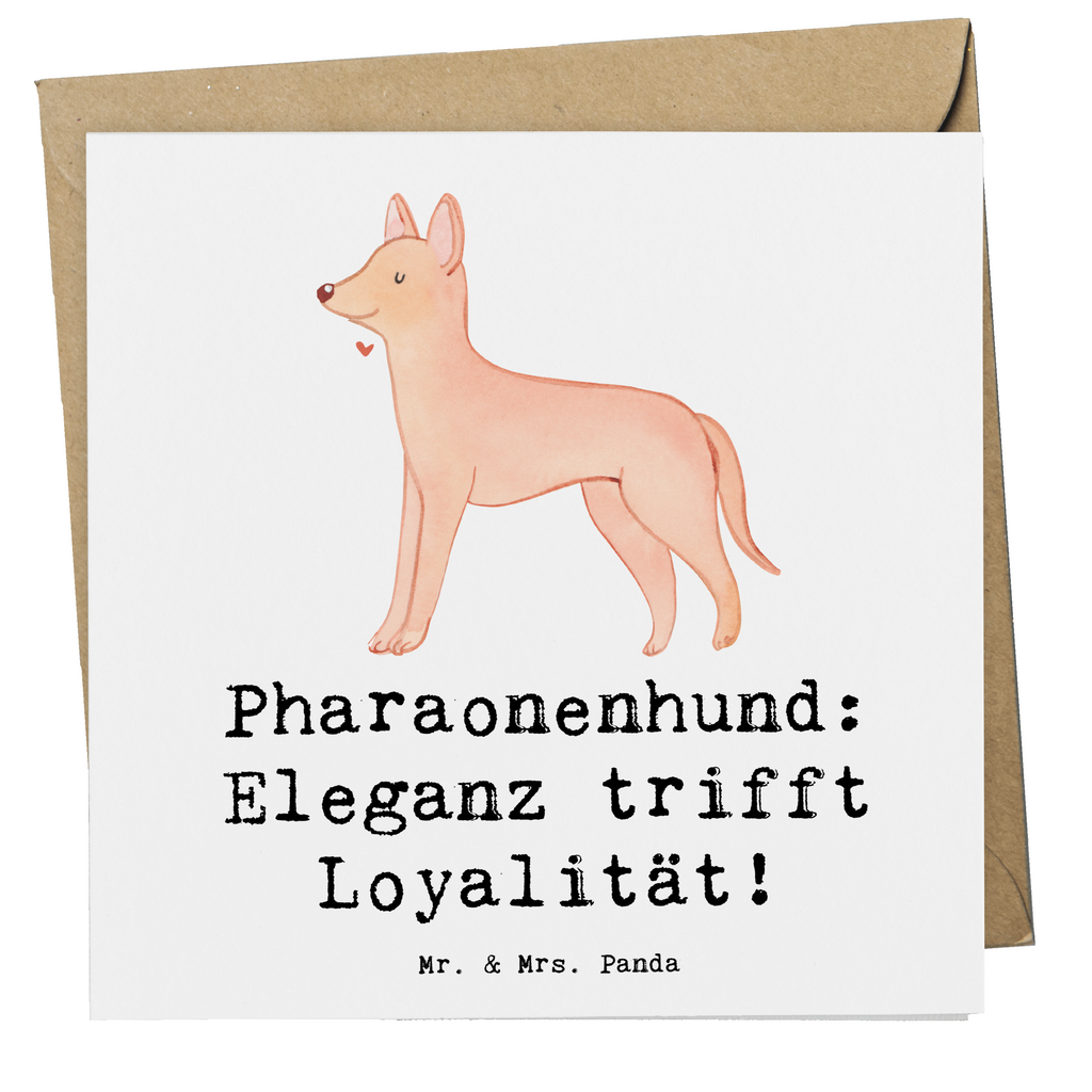 Deluxe Karte Pharaonenhund Eleganz Karte, Grußkarte, Klappkarte, Einladungskarte, Glückwunschkarte, Hochzeitskarte, Geburtstagskarte, Hochwertige Grußkarte, Hochwertige Klappkarte, Hund, Hunderasse, Rassehund, Hundebesitzer, Geschenk, Tierfreund, Schenken, Welpe