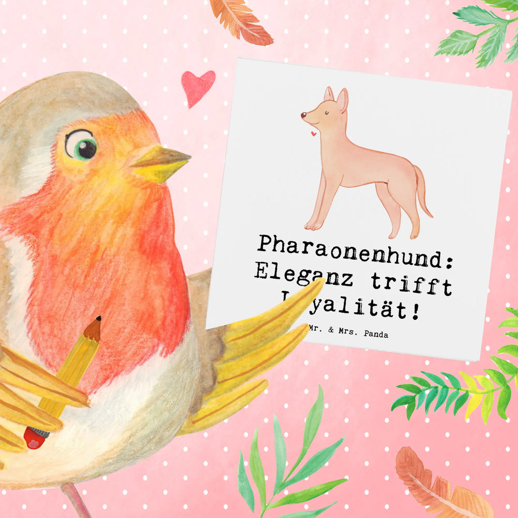 Deluxe Karte Pharaonenhund Eleganz Karte, Grußkarte, Klappkarte, Einladungskarte, Glückwunschkarte, Hochzeitskarte, Geburtstagskarte, Hochwertige Grußkarte, Hochwertige Klappkarte, Hund, Hunderasse, Rassehund, Hundebesitzer, Geschenk, Tierfreund, Schenken, Welpe