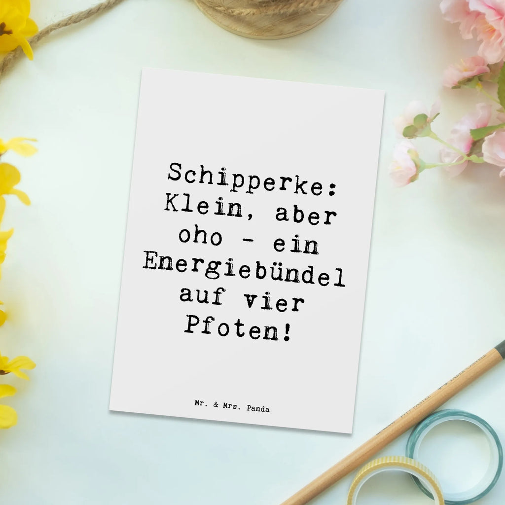 Postkarte Spruch Schipperke Energie Postkarte, Karte, Geschenkkarte, Grußkarte, Einladung, Ansichtskarte, Geburtstagskarte, Einladungskarte, Dankeskarte, Ansichtskarten, Einladung Geburtstag, Einladungskarten Geburtstag, Hund, Hunderasse, Rassehund, Hundebesitzer, Geschenk, Tierfreund, Schenken, Welpe