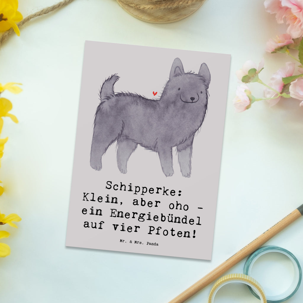 Postkarte Schipperke Energie Postkarte, Karte, Geschenkkarte, Grußkarte, Einladung, Ansichtskarte, Geburtstagskarte, Einladungskarte, Dankeskarte, Ansichtskarten, Einladung Geburtstag, Einladungskarten Geburtstag, Hund, Hunderasse, Rassehund, Hundebesitzer, Geschenk, Tierfreund, Schenken, Welpe