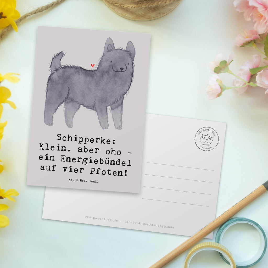 Postkarte Schipperke Energie Postkarte, Karte, Geschenkkarte, Grußkarte, Einladung, Ansichtskarte, Geburtstagskarte, Einladungskarte, Dankeskarte, Ansichtskarten, Einladung Geburtstag, Einladungskarten Geburtstag, Hund, Hunderasse, Rassehund, Hundebesitzer, Geschenk, Tierfreund, Schenken, Welpe