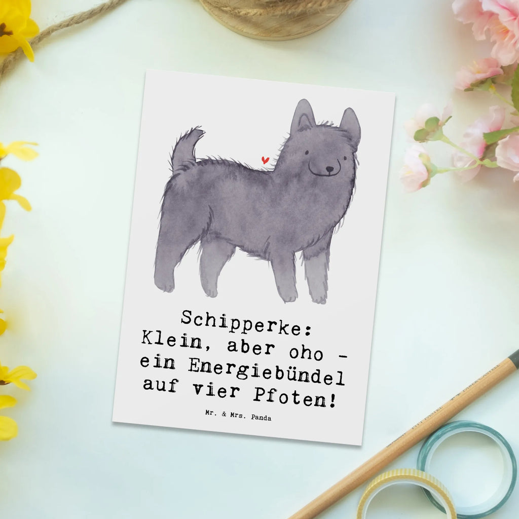 Postkarte Schipperke Energie Postkarte, Karte, Geschenkkarte, Grußkarte, Einladung, Ansichtskarte, Geburtstagskarte, Einladungskarte, Dankeskarte, Ansichtskarten, Einladung Geburtstag, Einladungskarten Geburtstag, Hund, Hunderasse, Rassehund, Hundebesitzer, Geschenk, Tierfreund, Schenken, Welpe