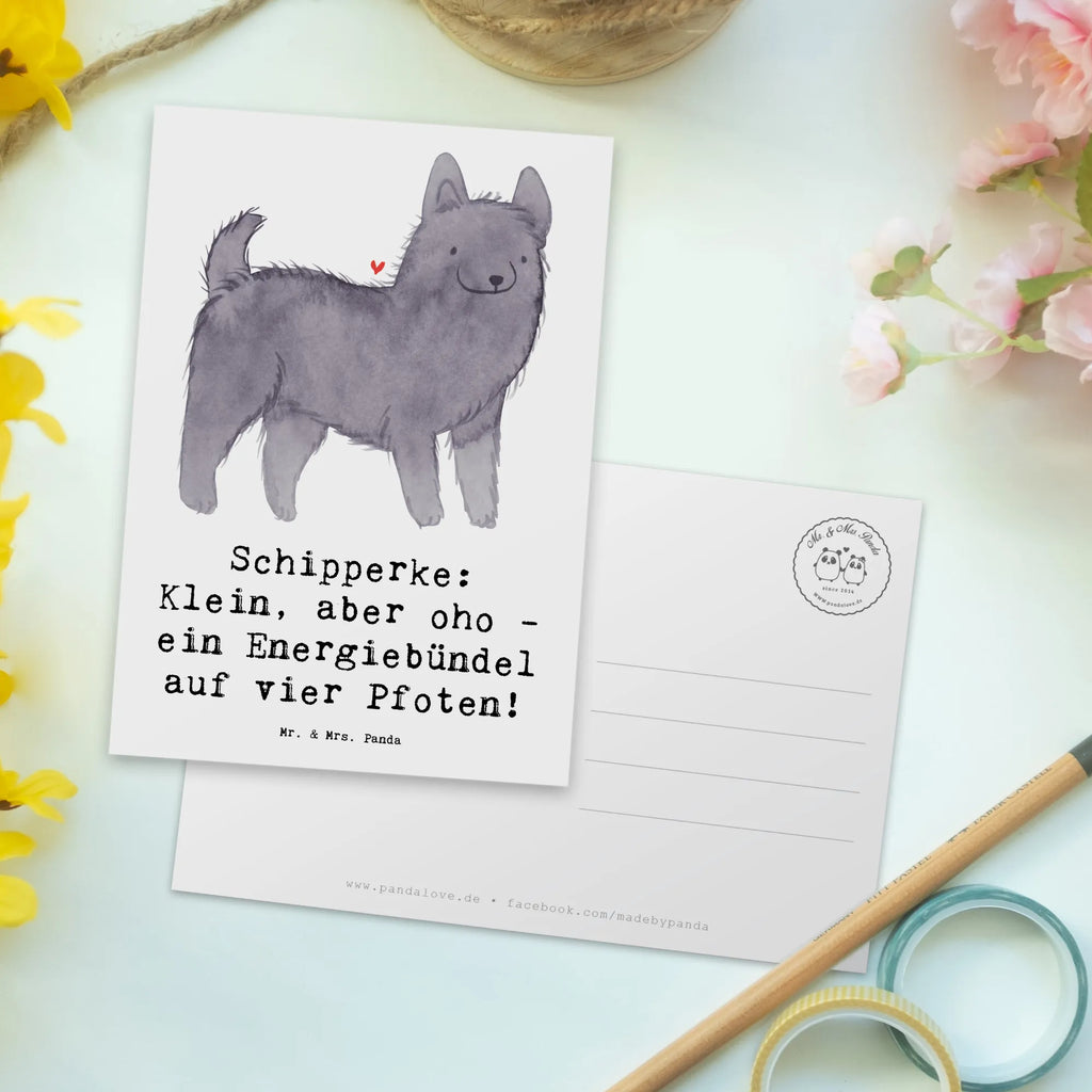 Postkarte Schipperke Energie Postkarte, Karte, Geschenkkarte, Grußkarte, Einladung, Ansichtskarte, Geburtstagskarte, Einladungskarte, Dankeskarte, Ansichtskarten, Einladung Geburtstag, Einladungskarten Geburtstag, Hund, Hunderasse, Rassehund, Hundebesitzer, Geschenk, Tierfreund, Schenken, Welpe