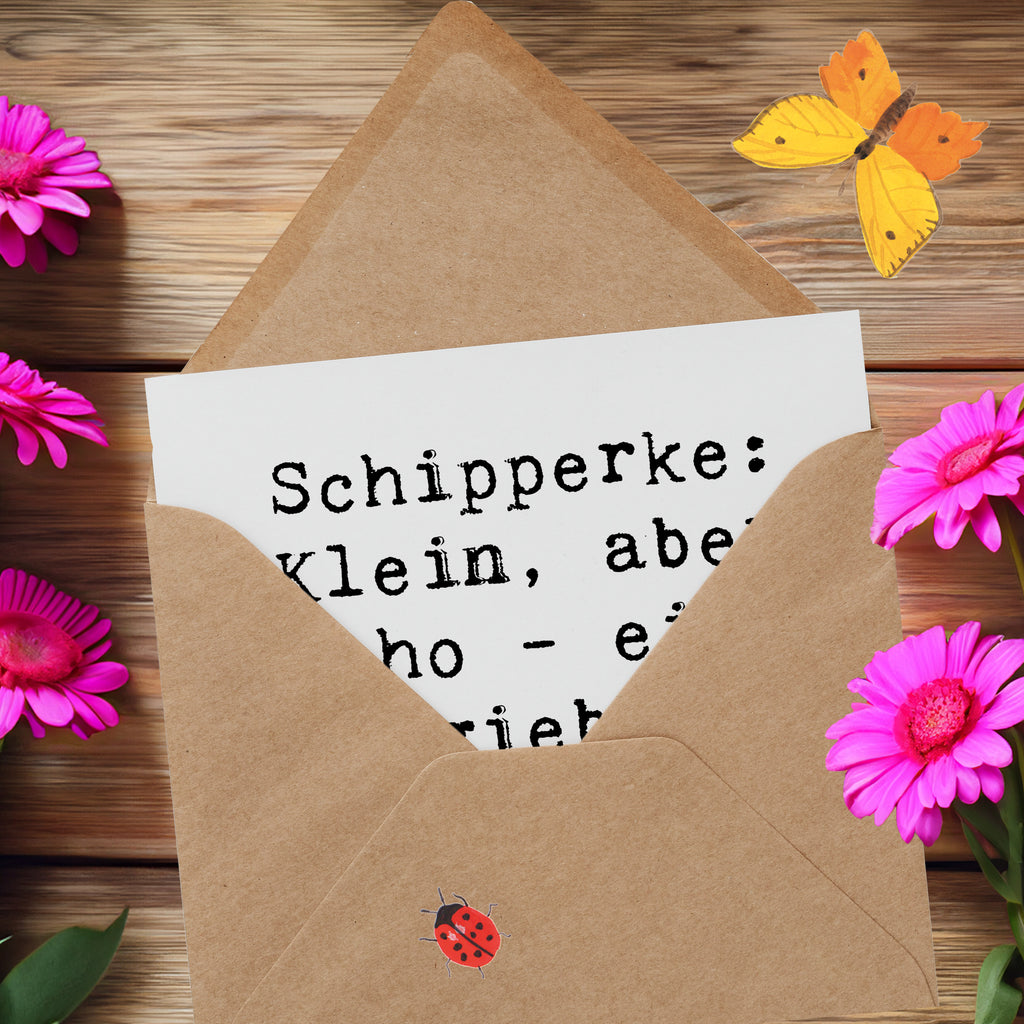 Deluxe Karte Spruch Schipperke Energie Karte, Grußkarte, Klappkarte, Einladungskarte, Glückwunschkarte, Hochzeitskarte, Geburtstagskarte, Hochwertige Grußkarte, Hochwertige Klappkarte, Hund, Hunderasse, Rassehund, Hundebesitzer, Geschenk, Tierfreund, Schenken, Welpe