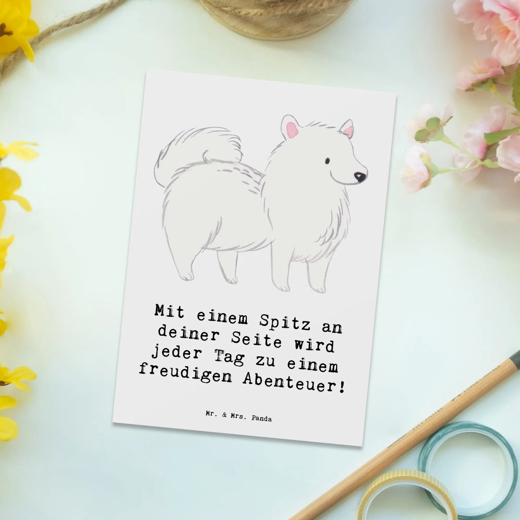 Postkarte Freudiger Spitz Postkarte, Karte, Geschenkkarte, Grußkarte, Einladung, Ansichtskarte, Geburtstagskarte, Einladungskarte, Dankeskarte, Ansichtskarten, Einladung Geburtstag, Einladungskarten Geburtstag, Hund, Hunderasse, Rassehund, Hundebesitzer, Geschenk, Tierfreund, Schenken, Welpe