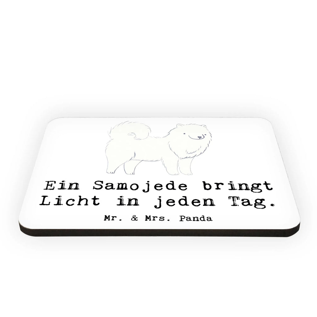 Magnet Samojede Licht Kühlschrankmagnet, Pinnwandmagnet, Souvenir Magnet, Motivmagnete, Dekomagnet, Whiteboard Magnet, Notiz Magnet, Kühlschrank Dekoration, Hund, Hunderasse, Rassehund, Hundebesitzer, Geschenk, Tierfreund, Schenken, Welpe