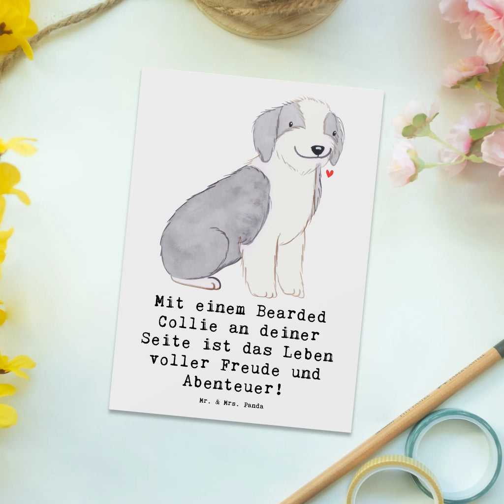 Postkarte Bearded Collie Freund Postkarte, Karte, Geschenkkarte, Grußkarte, Einladung, Ansichtskarte, Geburtstagskarte, Einladungskarte, Dankeskarte, Ansichtskarten, Einladung Geburtstag, Einladungskarten Geburtstag, Hund, Hunderasse, Rassehund, Hundebesitzer, Geschenk, Tierfreund, Schenken, Welpe