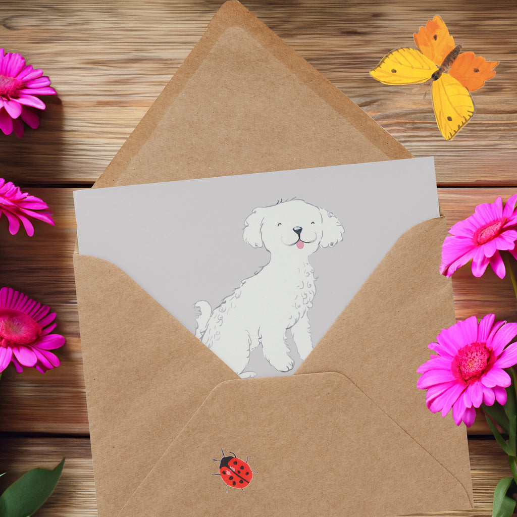 Deluxe Karte Bichon Frisé Freude Karte, Grußkarte, Klappkarte, Einladungskarte, Glückwunschkarte, Hochzeitskarte, Geburtstagskarte, Hochwertige Grußkarte, Hochwertige Klappkarte, Hund, Hunderasse, Rassehund, Hundebesitzer, Geschenk, Tierfreund, Schenken, Welpe