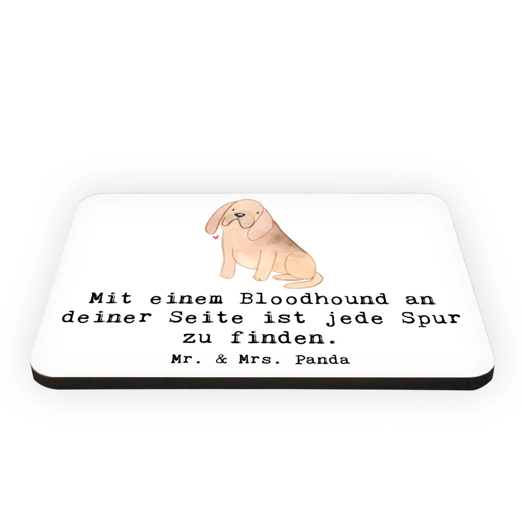 Magnet Bloodhound Spur Kühlschrankmagnet, Pinnwandmagnet, Souvenir Magnet, Motivmagnete, Dekomagnet, Whiteboard Magnet, Notiz Magnet, Kühlschrank Dekoration, Hund, Hunderasse, Rassehund, Hundebesitzer, Geschenk, Tierfreund, Schenken, Welpe