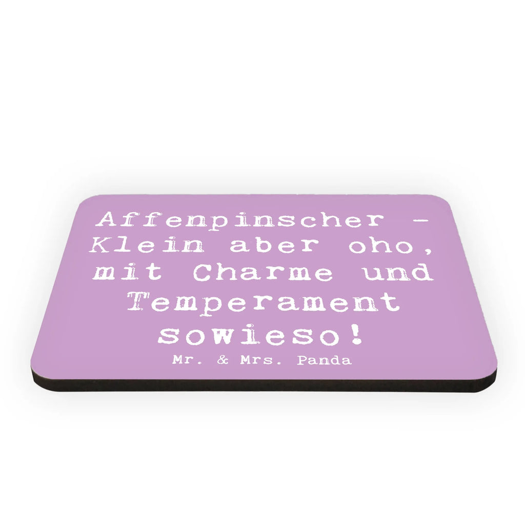 Magnet Spruch Affenpinscher Charme Kühlschrankmagnet, Pinnwandmagnet, Souvenir Magnet, Motivmagnete, Dekomagnet, Whiteboard Magnet, Notiz Magnet, Kühlschrank Dekoration, Hund, Hunderasse, Rassehund, Hundebesitzer, Geschenk, Tierfreund, Schenken, Welpe