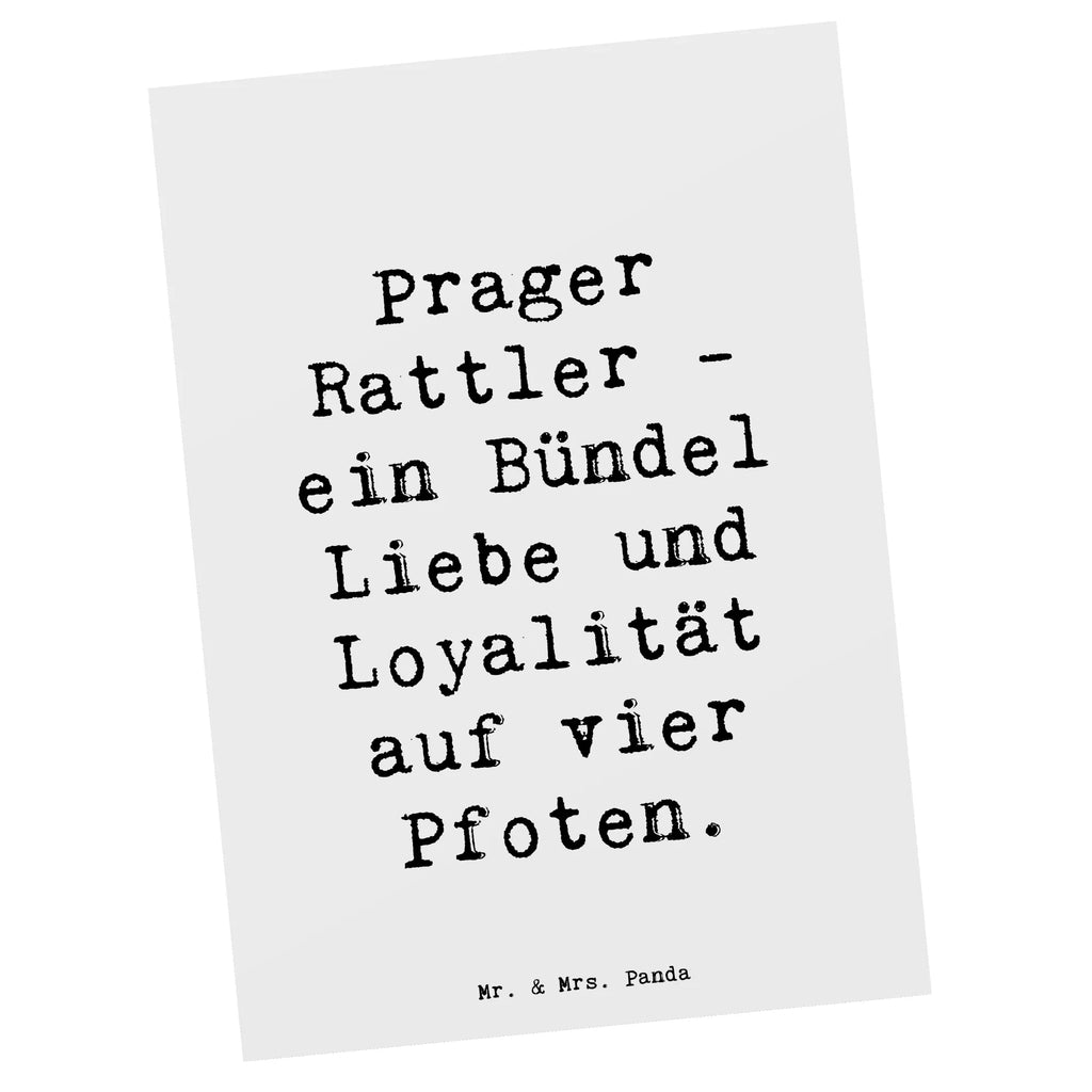 Postkarte Spruch Prager Rattler Postkarte, Karte, Geschenkkarte, Grußkarte, Einladung, Ansichtskarte, Geburtstagskarte, Einladungskarte, Dankeskarte, Ansichtskarten, Einladung Geburtstag, Einladungskarten Geburtstag, Hund, Hunderasse, Rassehund, Hundebesitzer, Geschenk, Tierfreund, Schenken, Welpe